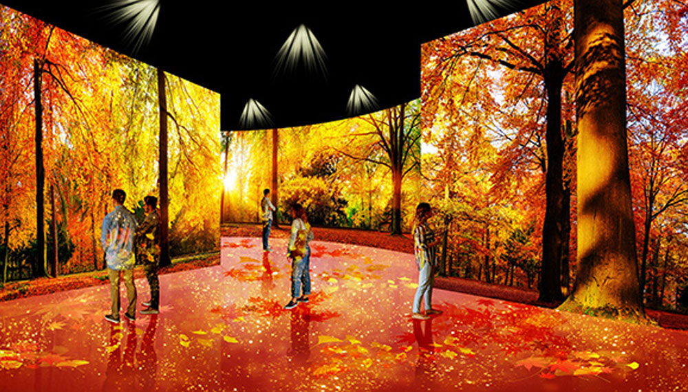 procesador multimedia de Panasonic